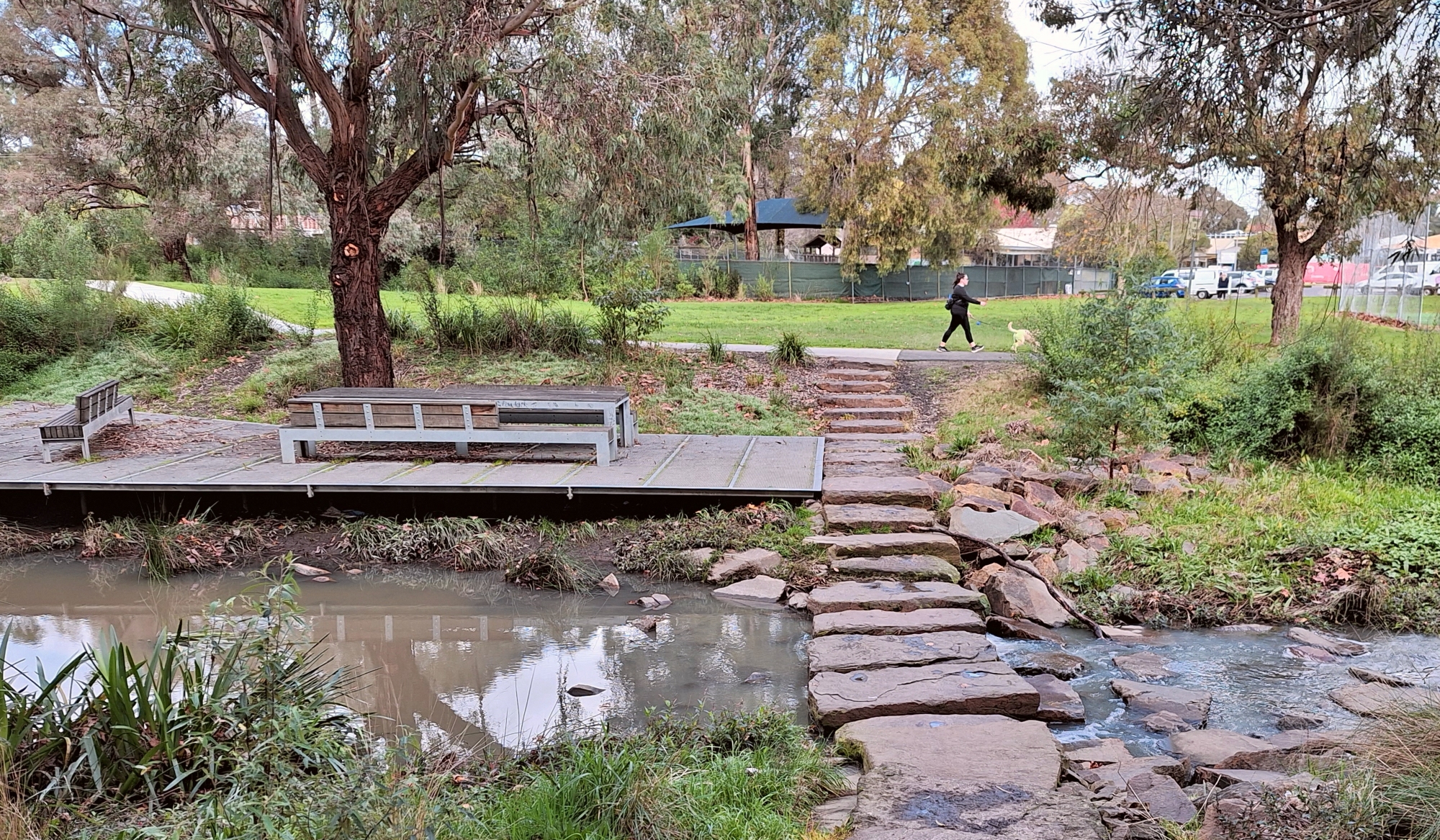 A dog walker enjoys the newly daylighted Blind Creek in Boronia
